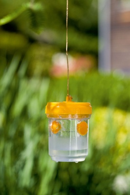 Trampa para Avispas Stocker